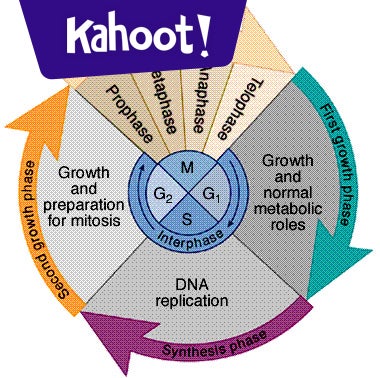 Mitosis vs Meiosis Review - Kahoot! Quiz