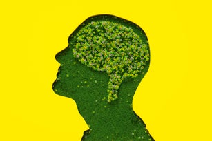 Flower brain