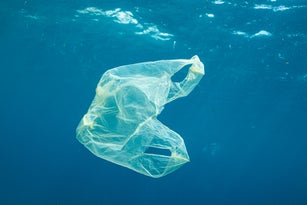 Plastic Bag Floating in Ocean