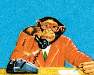 A monkey could do this job