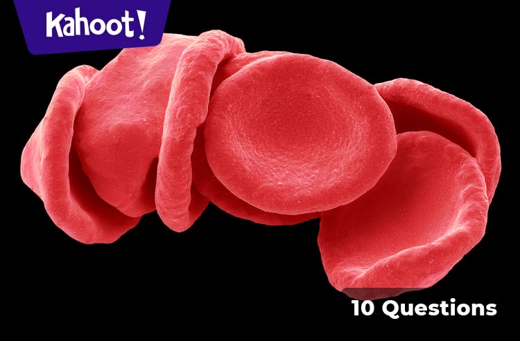 Cellular Processes Kahoot Quiz
