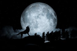 Howling Wolf Full Moon Background