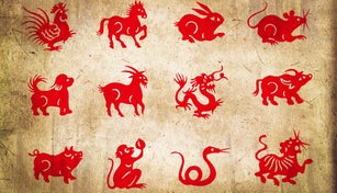 Animal of the chinese zodiac, sepia textured paper background