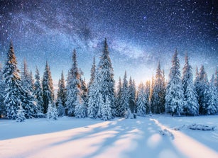 Dairy Star Trek in the winter woods