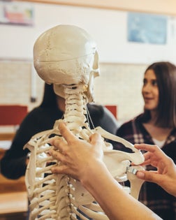 Teacher explaining the skeletal system to group of students