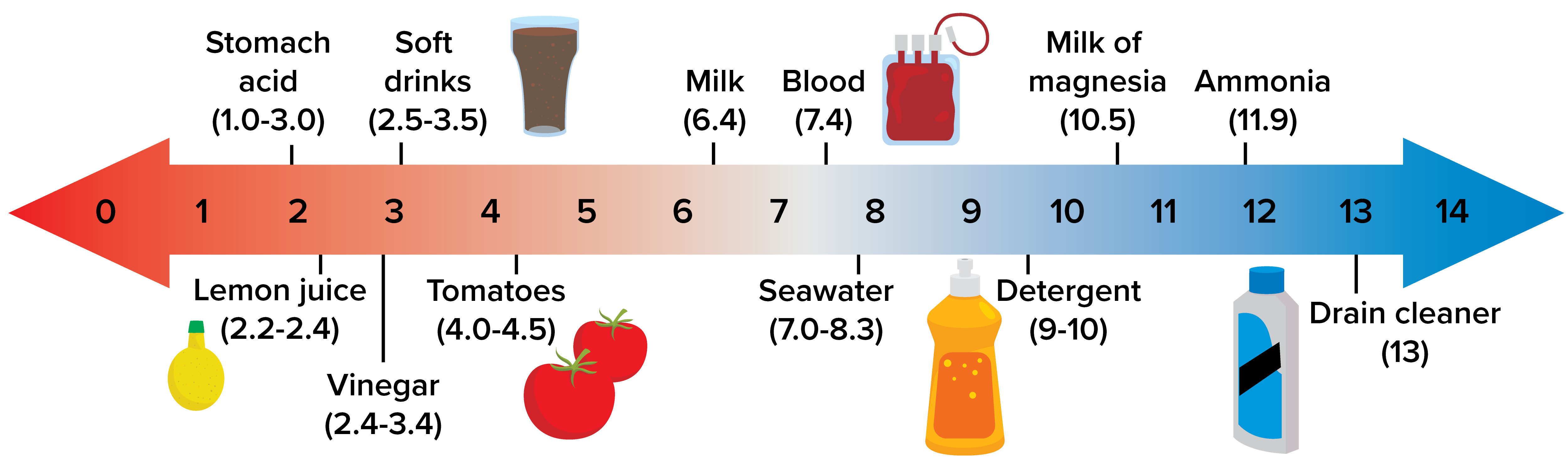 A pH diagram shows a double-sided arrow and numbers from 0 to 14. Items and their pH dot the arrows.