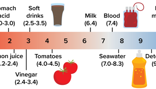 A pH diagram shows a double-sided arrow and numbers from 0 to 14. Items and their pH dot the arrows.