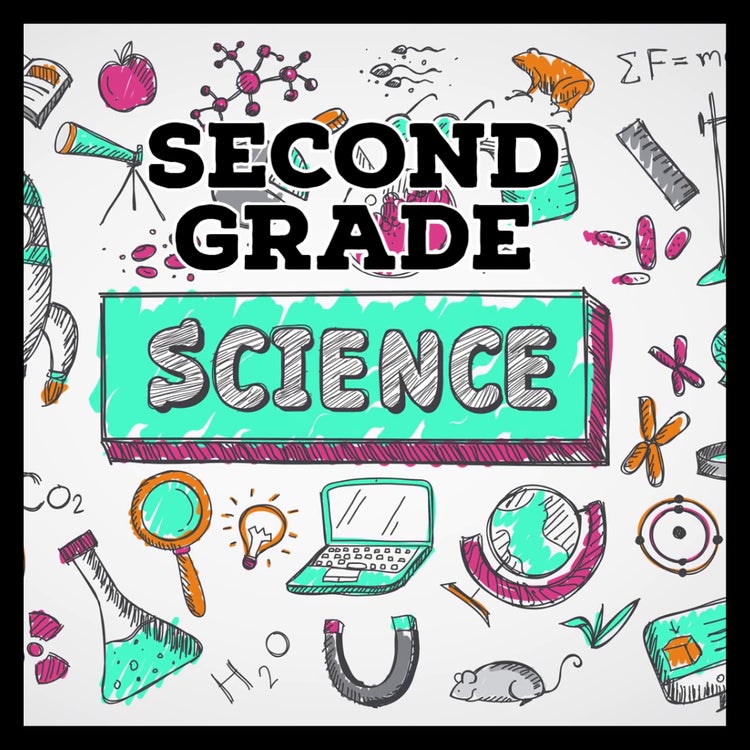 2nd grade science kahoots kahoot course