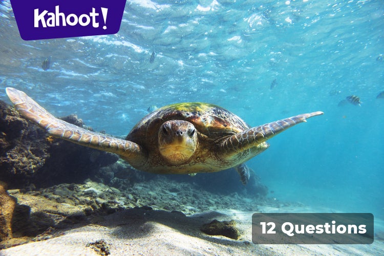 Play Kahoot! PRESERVING THE NATURE