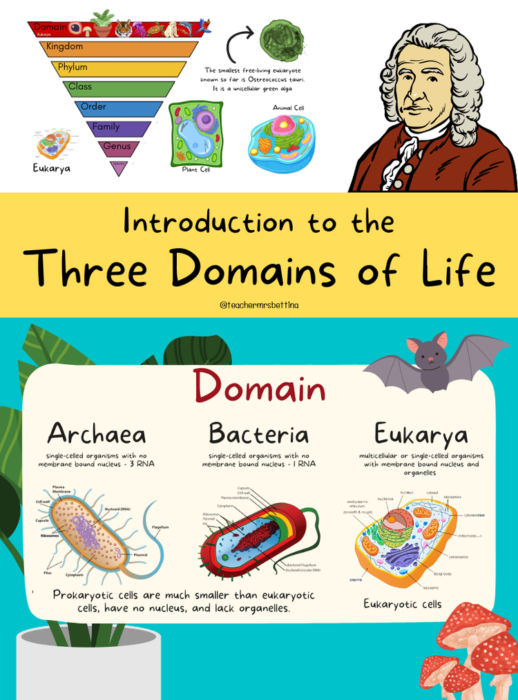 Introduction to the Three Domains of Life Bundle (includes printables ...