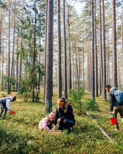 Multiracial male and female family members picking while foraging in forest during vacations