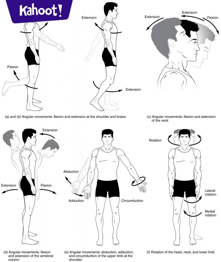 Body Movements - Kahoot! Quiz