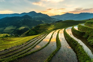 Rice terraces at Mu Cang Chai, Vietnam