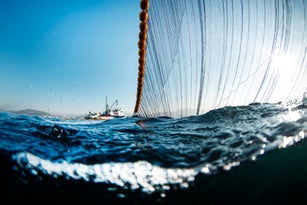 fishing purse seine