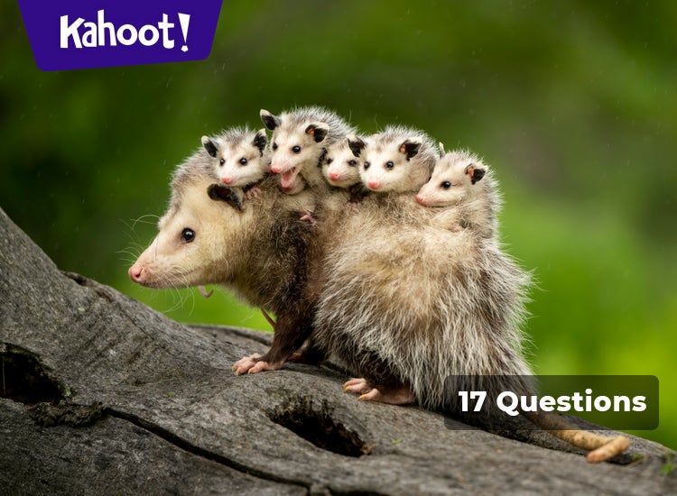 Instincts Vs Learned Behaviors In Animals Kahoot Quiz
