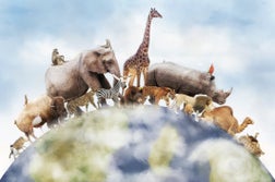 World of Wild Animals