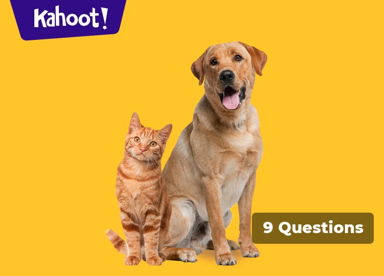 Що ти обереш: гра-знайомство! - Kahoot! Quiz