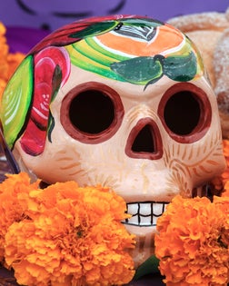Sugar skull and pan de muerto at Day of the Dead altar (ofrenda)
