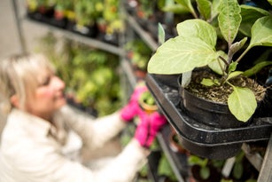 Gardening
