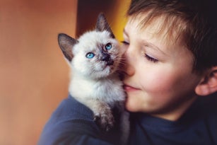 Young boy with a kitten on his shoulder