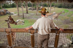 Zoo keeper