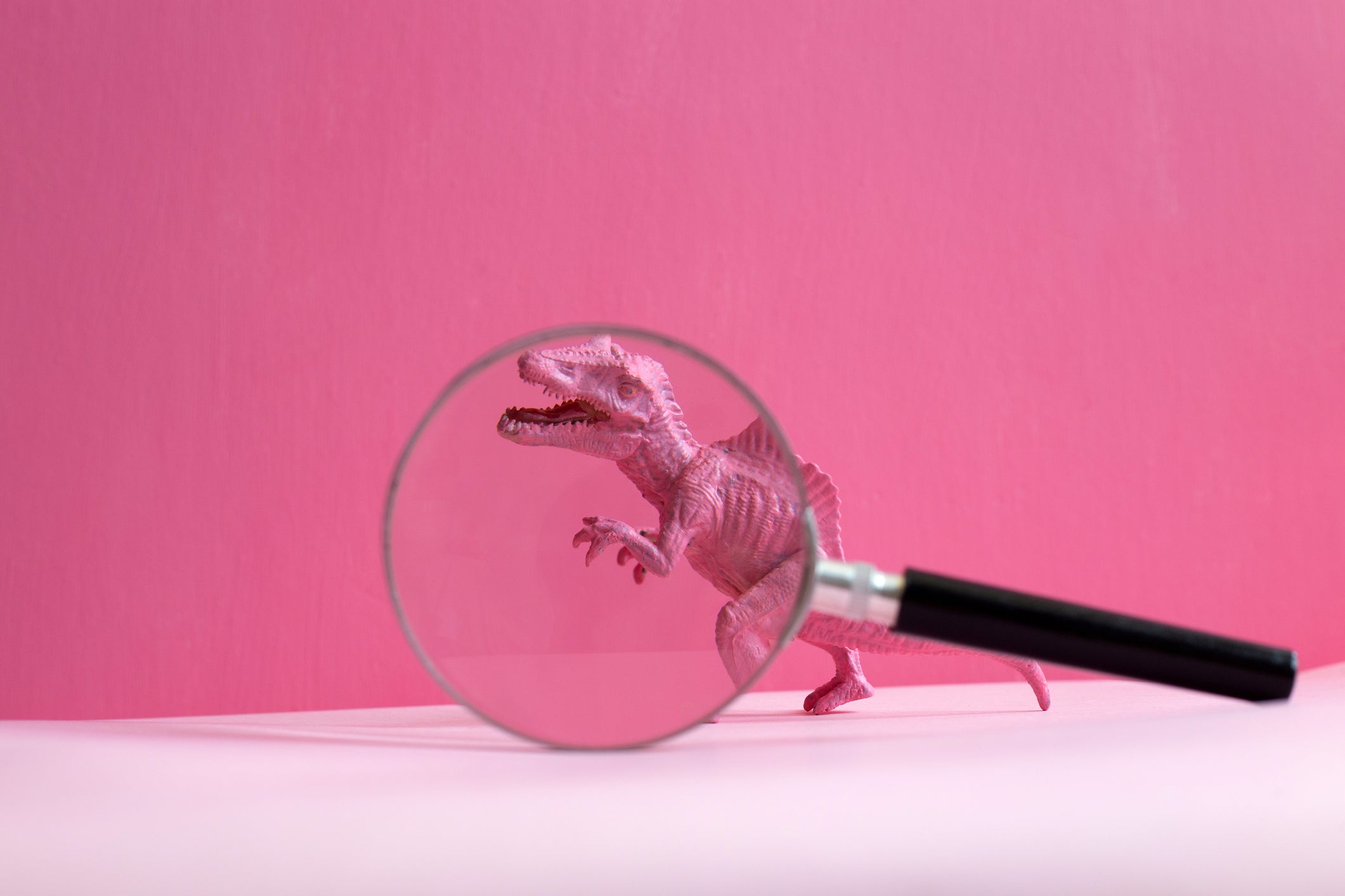 Pink dinosaur