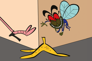 illustrated fly giggling as he watches a foot about to step on a banana peel