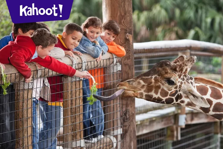 2nd grade all units kahoot quiz