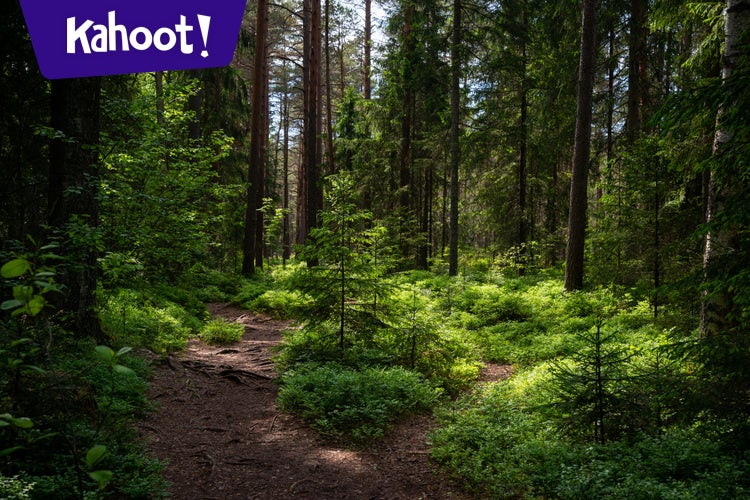 Exploring the Forest with Project Learning Tree - Kahoot! Quiz