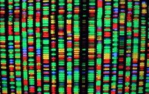 Genomic Workshop