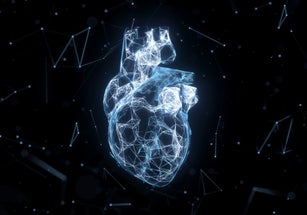 Digital heart