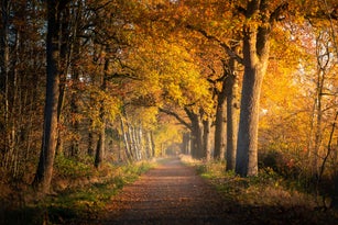 Autumn in Eindhoven