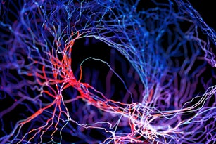 Neuron system