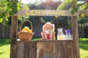 Portrait of girl on lemonade stand holding up one hundred euro note